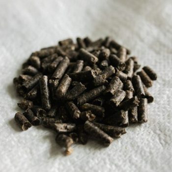 Beet Pulp Pellets