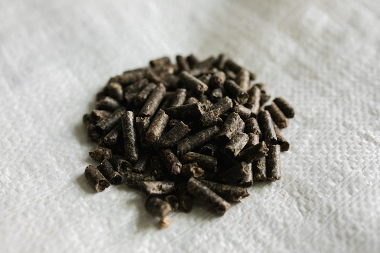 Beet Pulp Pellets