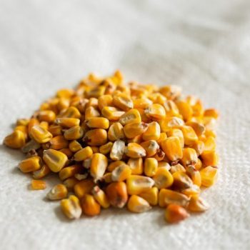 Whole Corn