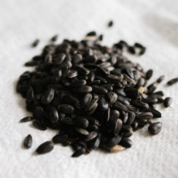 Black Oil Sunflower Seeds
