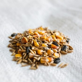 Deer and Wildlife Feed