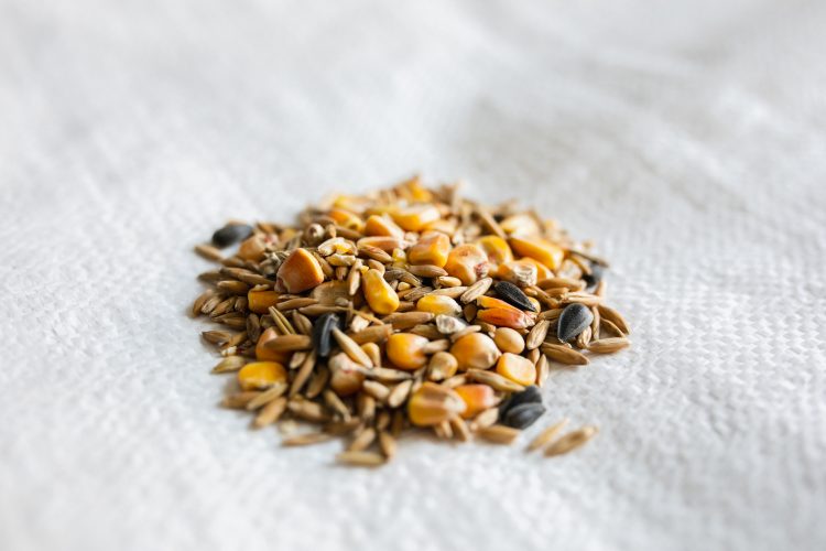 Deer and Wildlife Feed